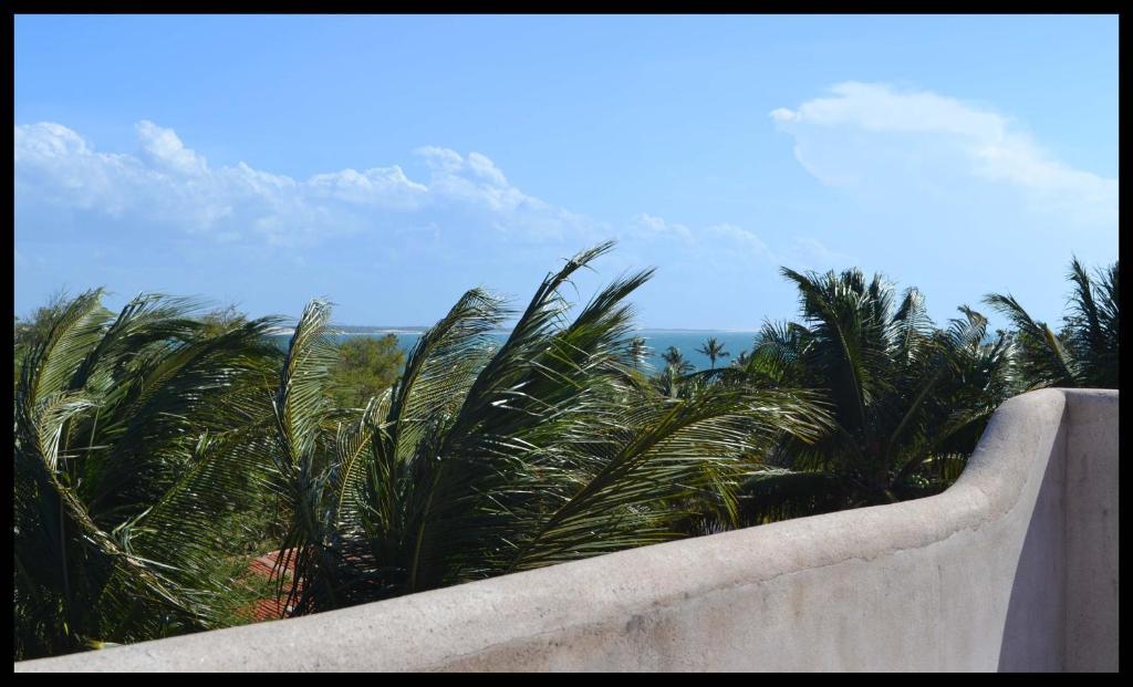 B&B Girassol Jijoca de Jericoacoara Rum bild